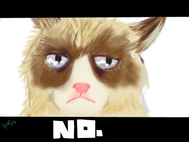 Grumpy Cat
