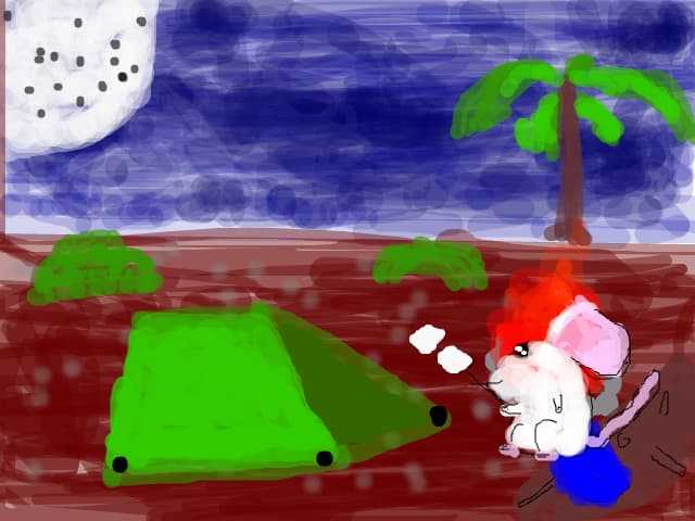 soricel la camping
