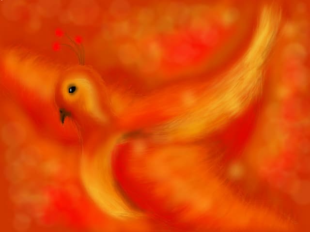 Pheonix