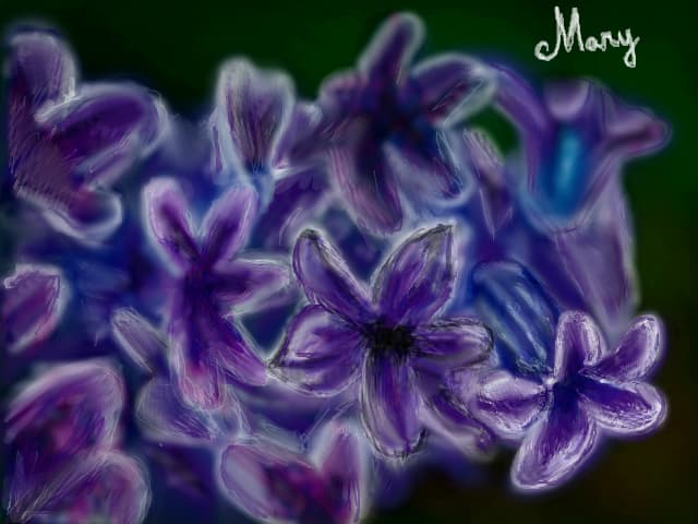 zambila... abstract