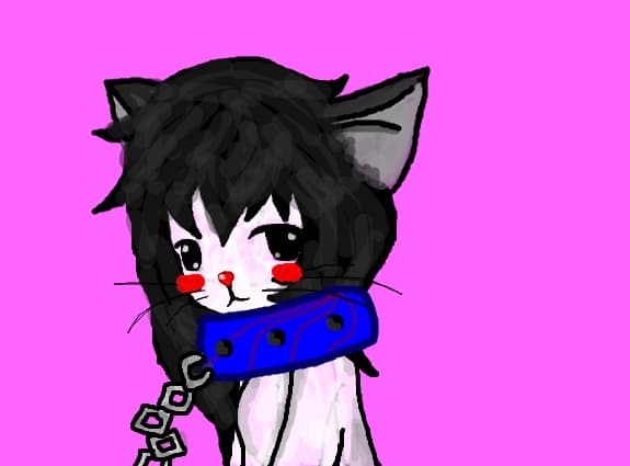 Cute Cat