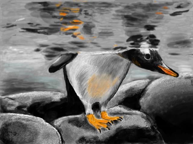 pinguin