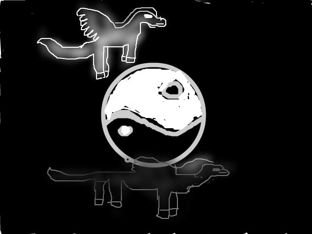 yin si yang
