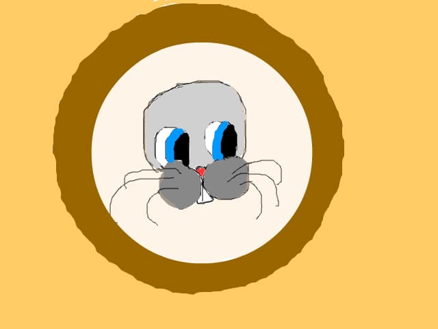 foca
