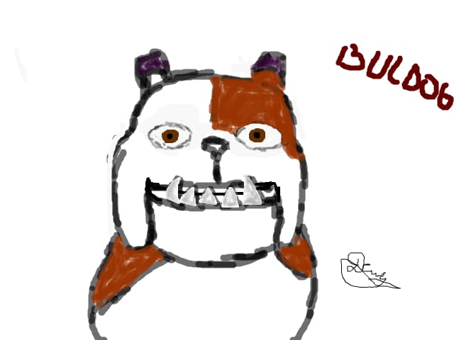 BULDOG