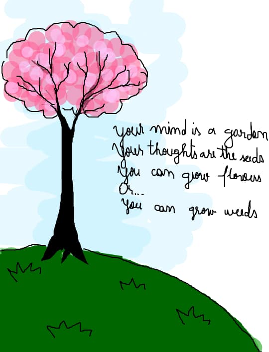 grow flowers