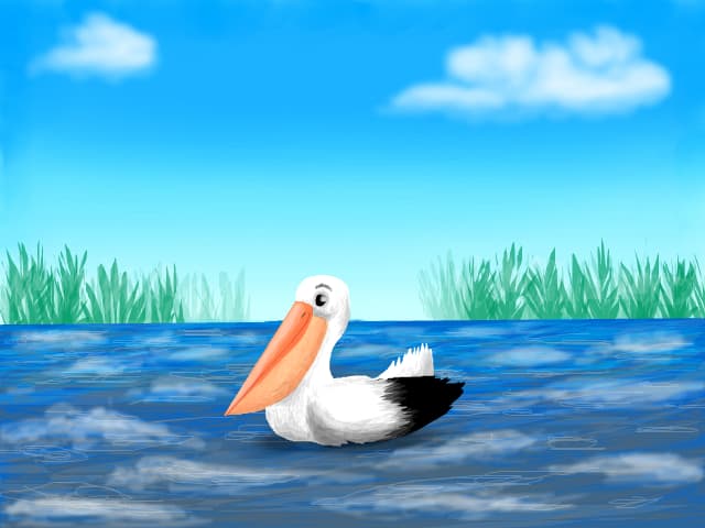 Pelican de delta
