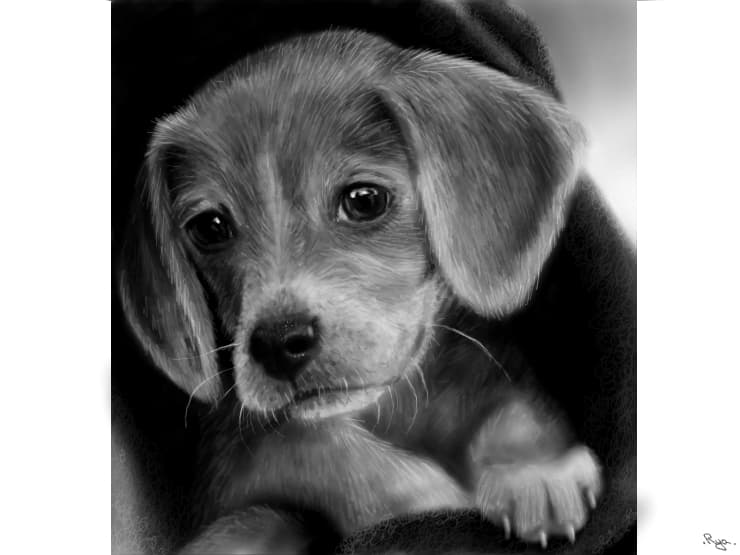 Puppy