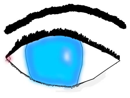 Ochi