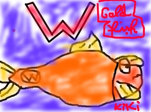 Gold Fish