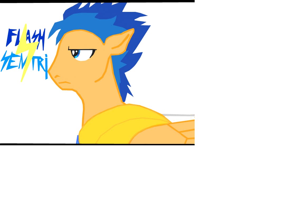 FLASH SENTRY