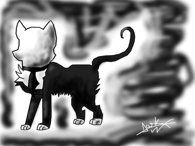 Slendy Cat :3