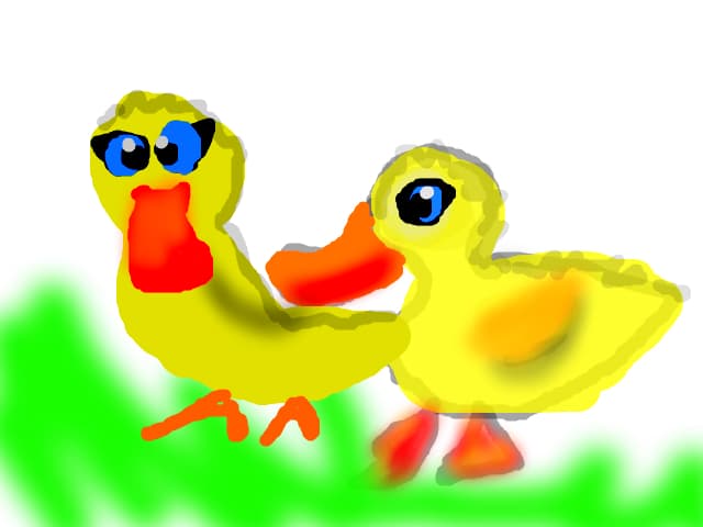 cute ducklings