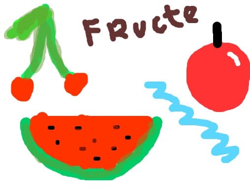 Fructe