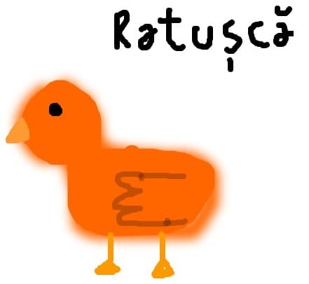 Ratusca