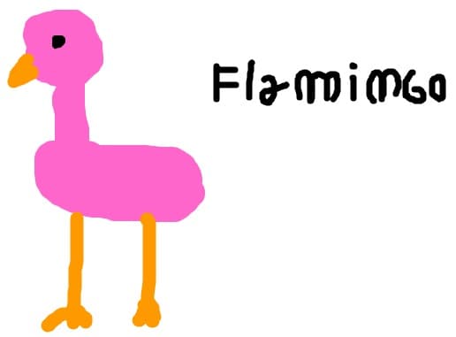 Flamingo