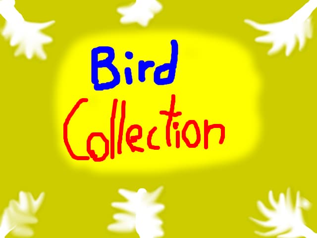 Bird collection