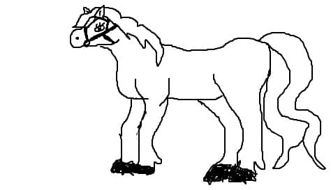 pony