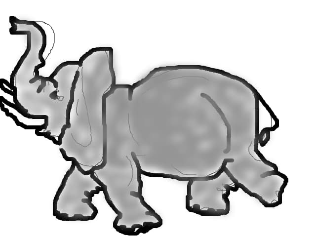 little baby elephant