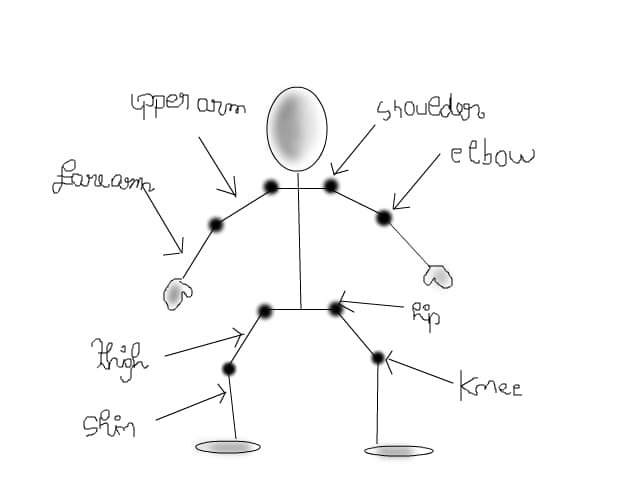 ora de anatomie