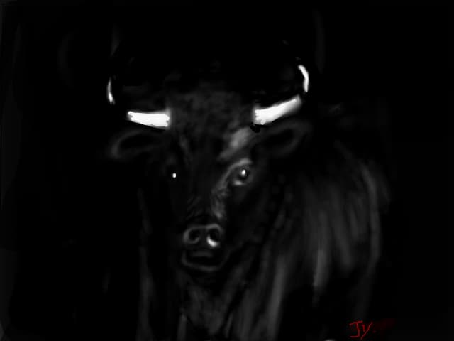 Black bull
