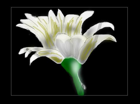floare alba