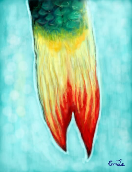 Fish