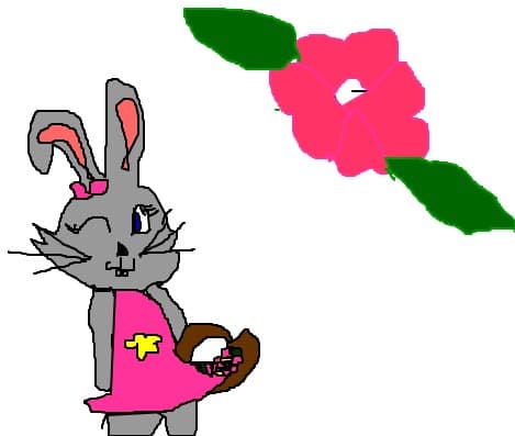 Buny Toys