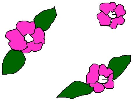 Nam idei