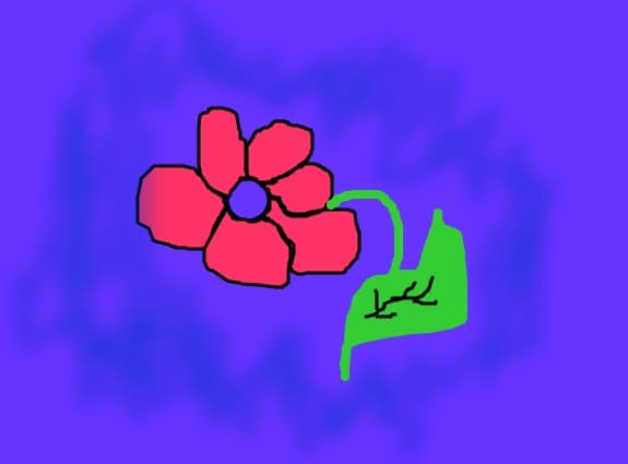 floricica