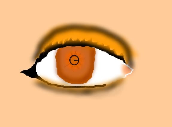 ochi