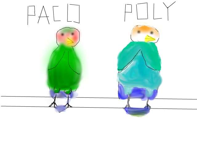 Paco &amp; Poly
