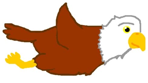 Codalb American