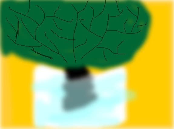 Bonzai