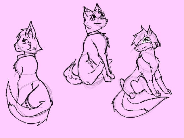 Wolf ..