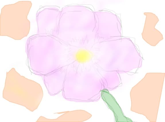 Flori