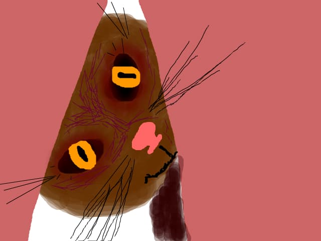 pisicuta miau miau miau