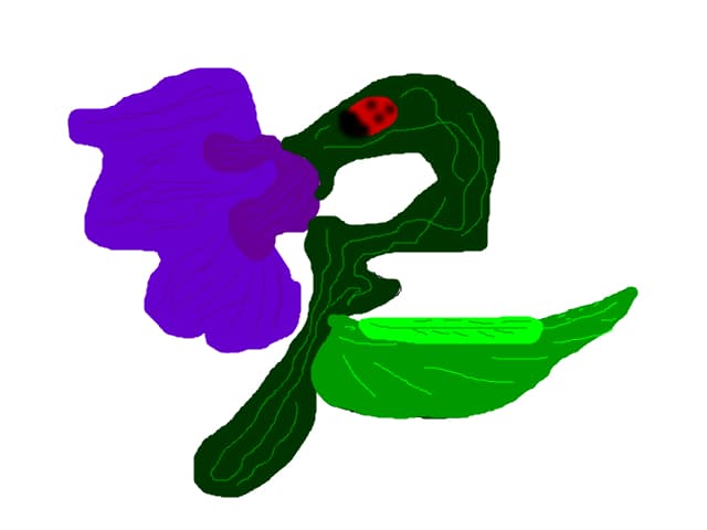 o floare