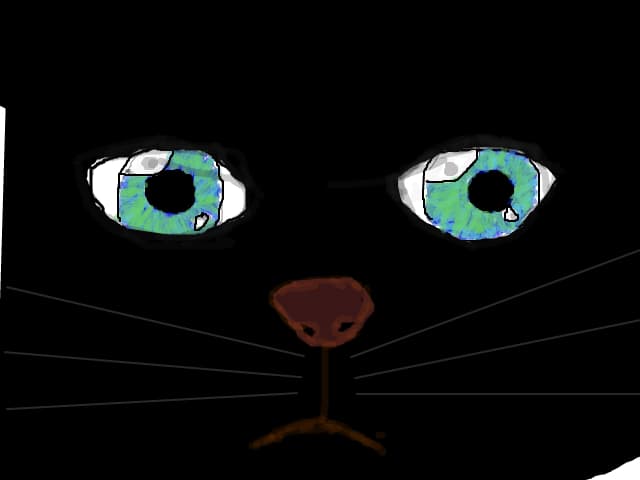 Miau :3