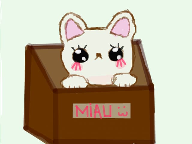 Miau :3