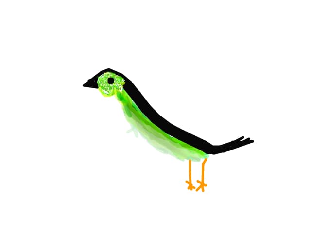 pitigoi