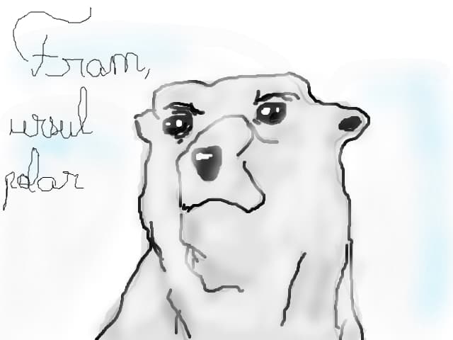 Fram, ursul polar