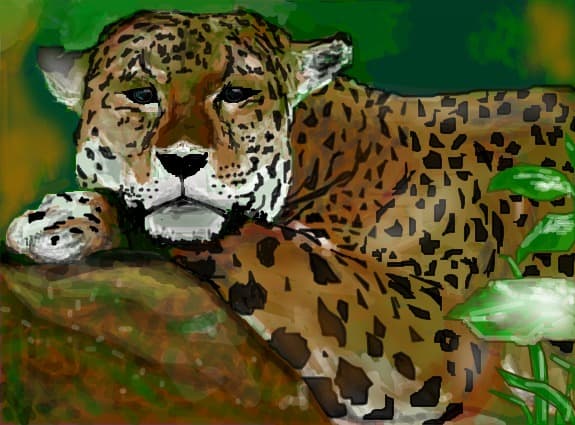 lazy jaguar