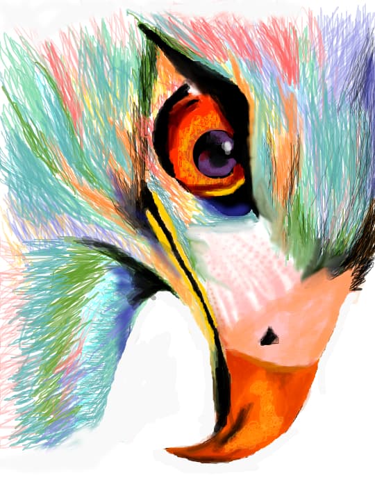 You can put wings on a pig, but you don\'t make it an eagle.