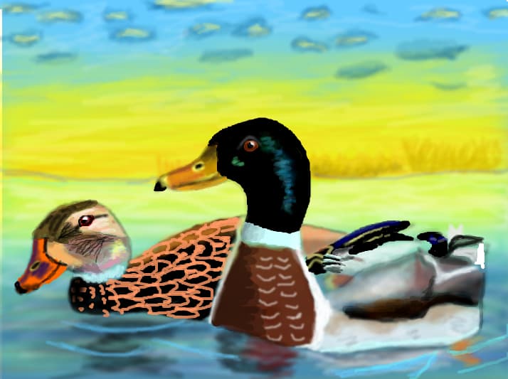 Ratuste pe lac