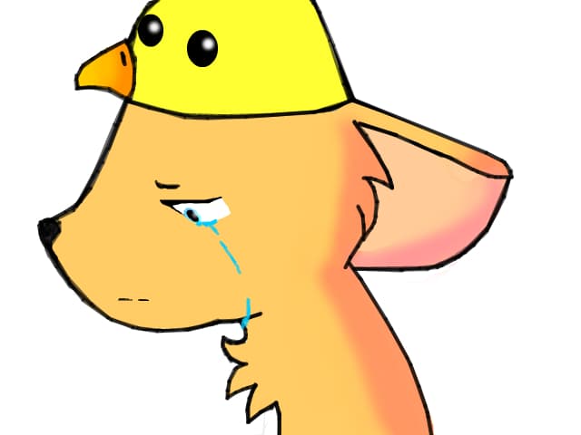 ,, I need PaintToolSai"