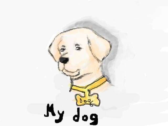 Doghy