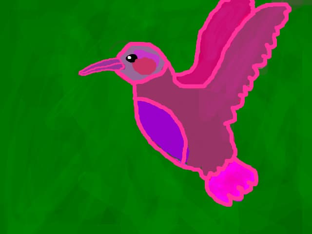 Pasarea colibri