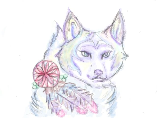dreams/test