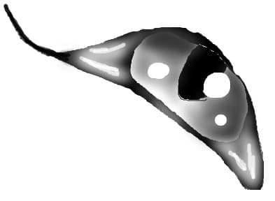 Ochi de Lup